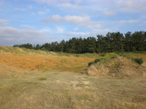 Gravel Pit with steep sides, Martlesham