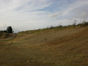Gravel Pit with steep sides, Martlesham