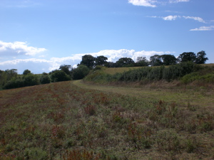 Soarable Ridge? The Hollows, North of Claydon