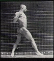 Muybridge - Boxer blow with right hand
