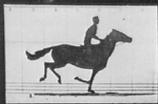 Muybridge - The classic horse running loop